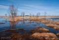 075_Biebrza - kwiecien 2013